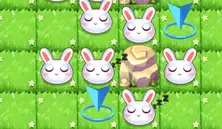 The Last Rabbit